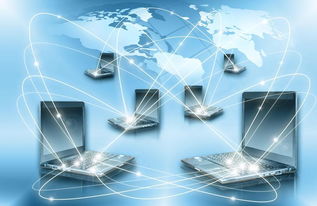 計算機網(wǎng)絡(luò)技術(shù)專業(yè)