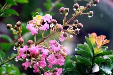 星青年文化廣場(chǎng)系列三	