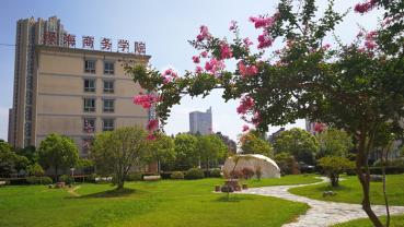 校園風(fēng)景——紫薇花	