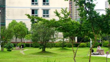 校園風(fēng)景——初夏	